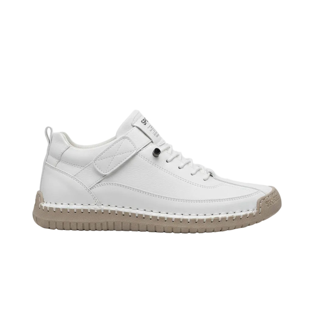 Avelira Comfort Women's Sneakers